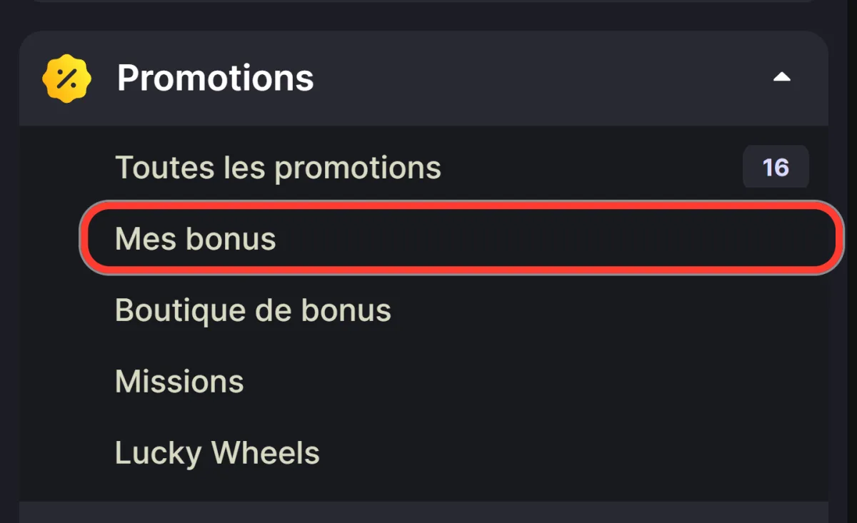 Rubrique Mes bonus encadrée dans le menu Promotions de Winhero
