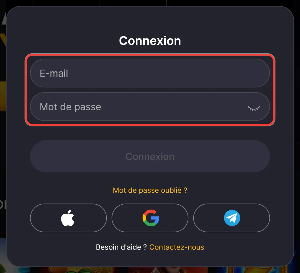 Champs E-mail et Mot de passe encadrés dans la fenêtre Connexion