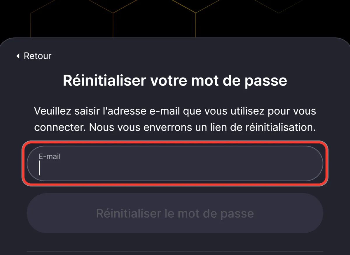 Champ E-mail de l'écran Réinitialiser votre mot de passe