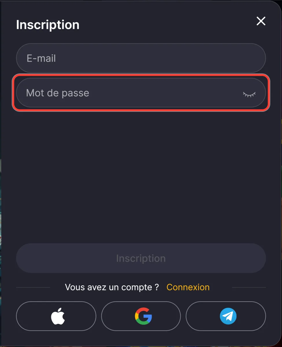 Champ Mot de passe encadré dans la fenêtre d'inscription